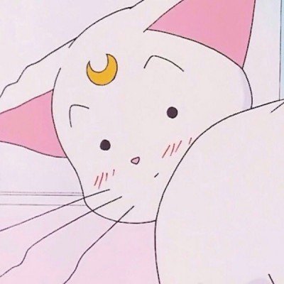 罗马假日
